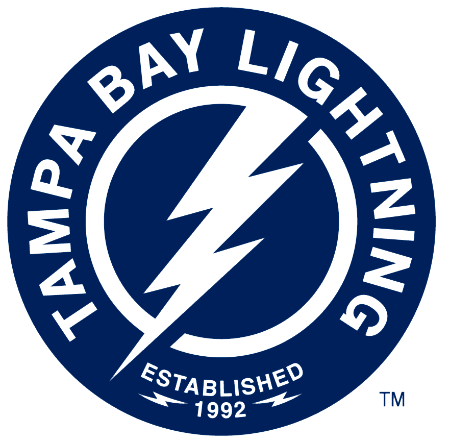 Tampa Bay Lightning 2018-Pres Alternate Logo fabric transfer